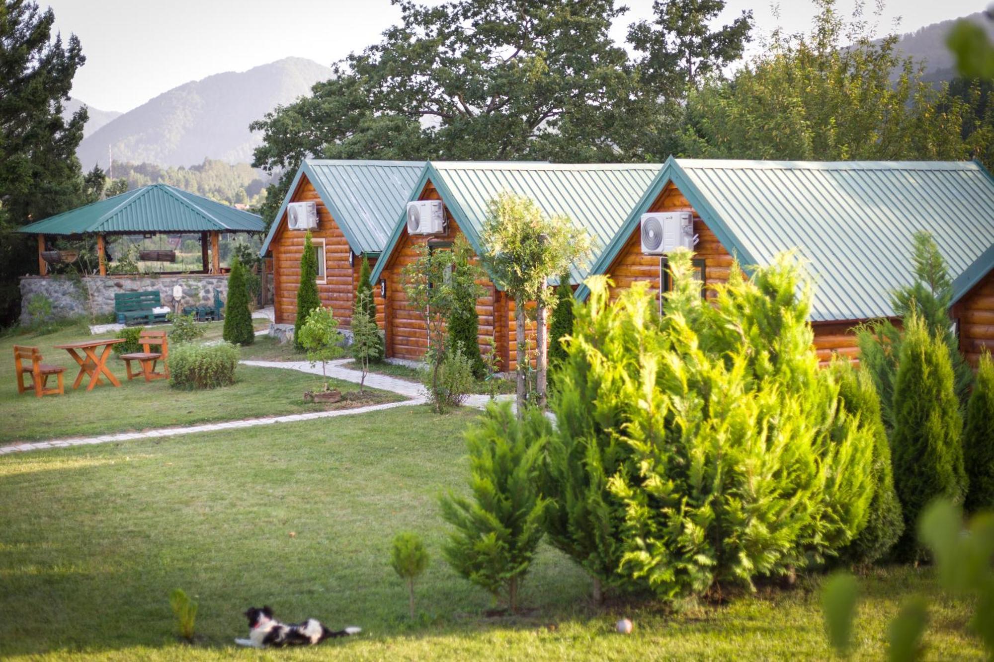 Tara Riverside Mojkovac Exteriér fotografie